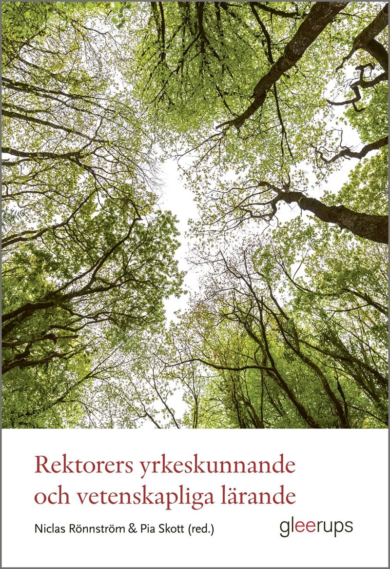 Rektorers yrkeskunnande och vetenskapliga lärande