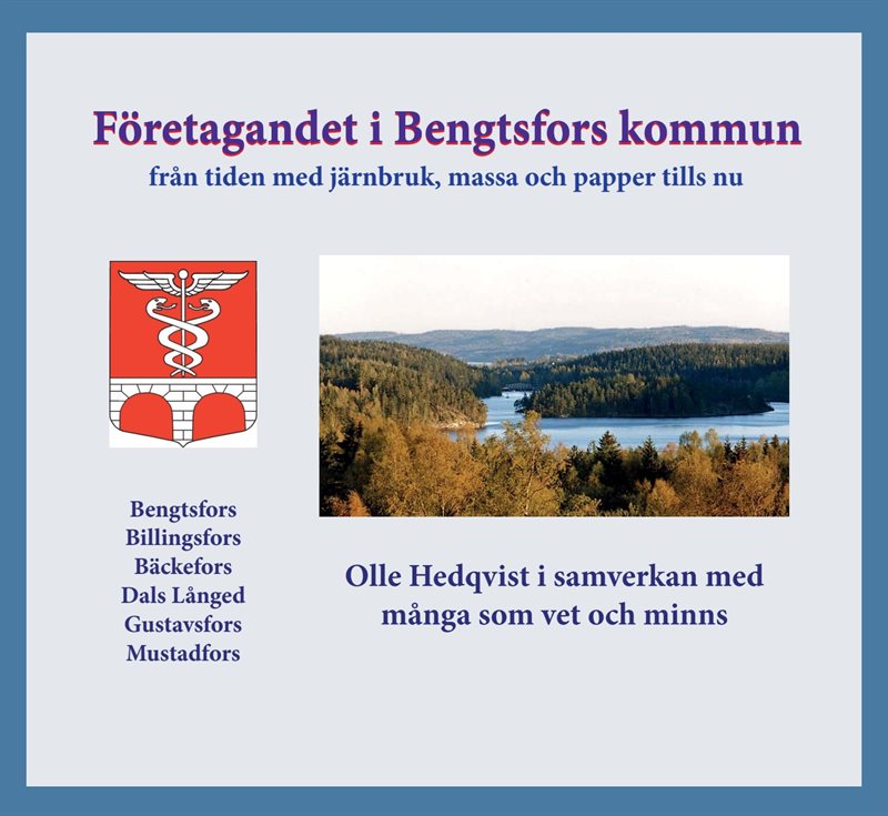 Företagandet i Bengtsfors kommun : från tiden med järnbruk, massa och papper fram tills nu