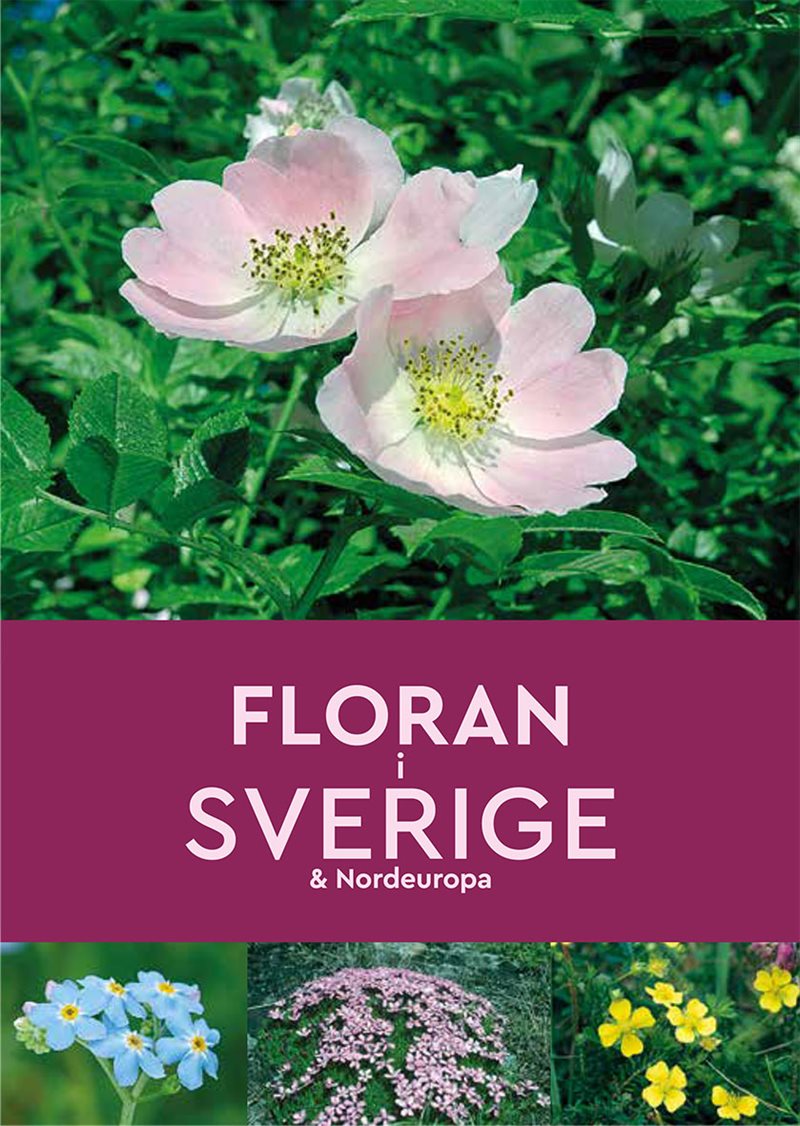 Floran i Sverige & Nordeuropa