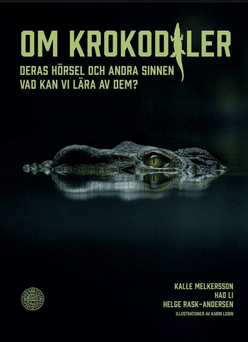 Om krokodiler : deras hörsel och andra sinnen - vad kan vi lära av dem?