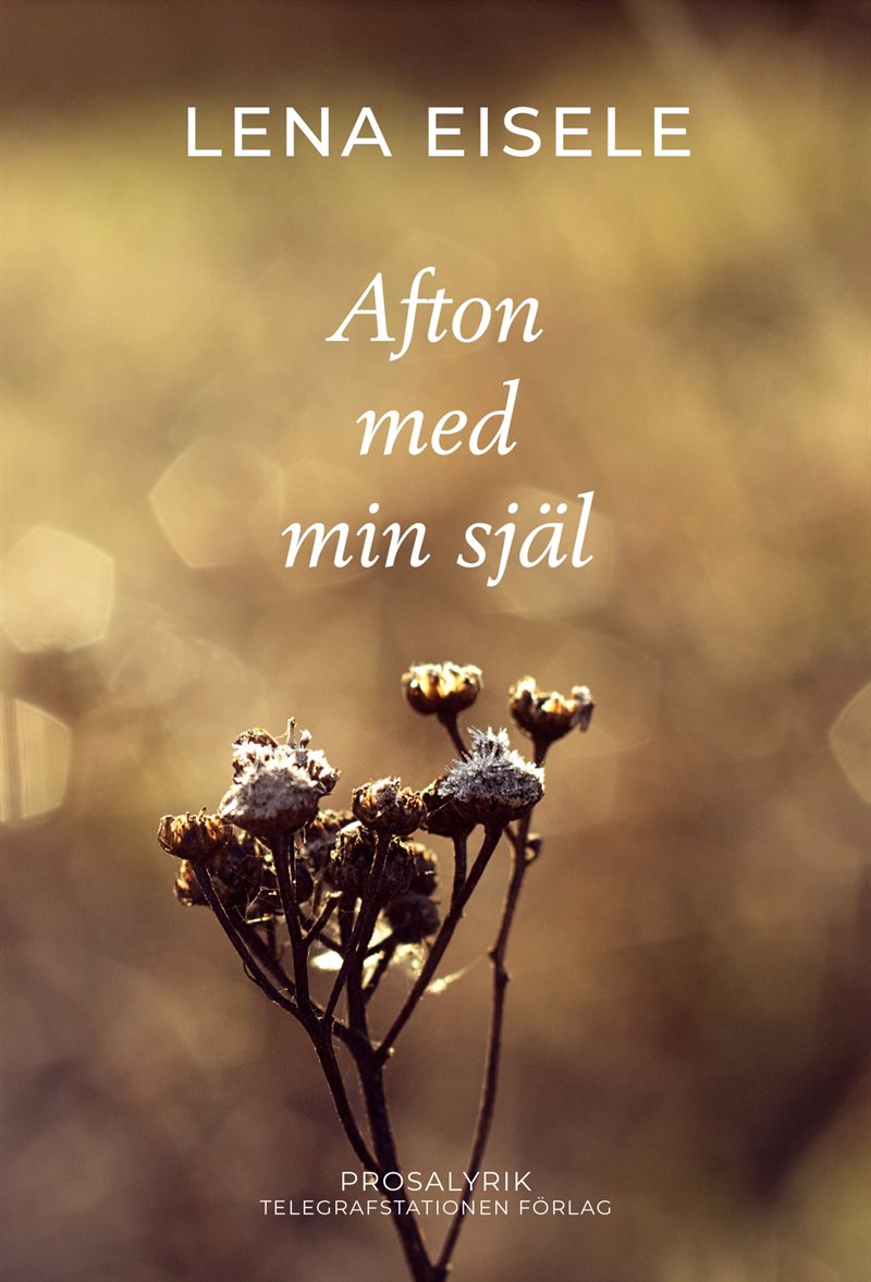 Afton med min själ