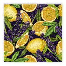 Matservetter 20p Citron / Lavendel svart