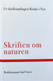 Den tjugotredje blixten : skriften om naturen