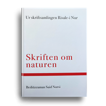 Den tjugotredje blixten : skriften om naturen